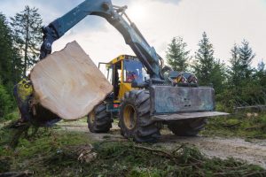 Baumpflege Buffler Holzrücken